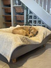 A dog sleeping on top of a super soft blanket on top of a bolster bed.