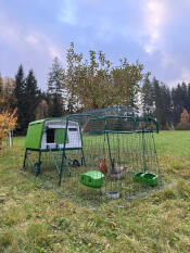 Eglu Cube in the garden