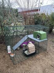 Two rabbits outside in the Zippi Rabbit Run with Roof and Underfloor Mesh.