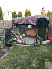 Wooden Chicken Coop inside Omlet Walk in Chicken Run