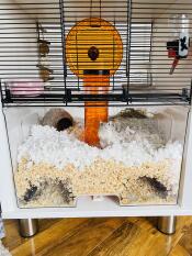 Cage 2024 hamster omlet