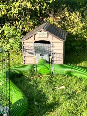 Green Zippi tunnel connecting mesh run to a wooden guinea pig house