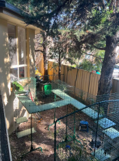 The Catio tunnels connected to the outdoor Catio enclosure.
