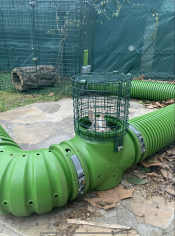 Bunny poking their head out of the mesh look out tower connected to green Zippi Rabbit Tunnel system