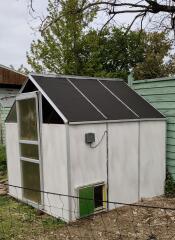 Green automatic chicken door attached to greenhouse used as a chicken coop