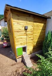 A green autodoor installed on a wooden chicken coop.