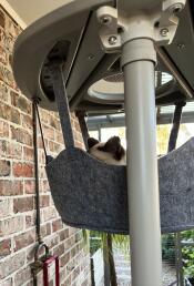 A cat sleeping in the grey outdoor hammock.