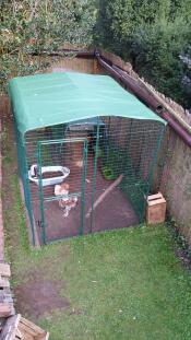 Roof over salmon chickens