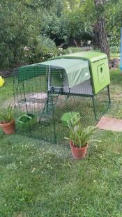 A green chicken coop attached to a 1 meter run