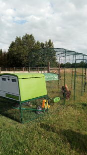 a large green cube chicken coop with a walk in run attached