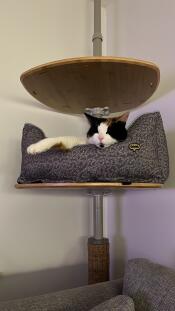 A cat resting in the Catnip Grey nest bed.