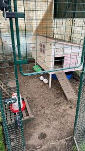 Wooden chicken coop inside an Omlet Walk In Chicken Run.