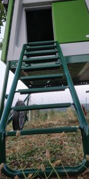 ladder staircase to a go up green chicken coop