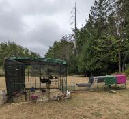 A purple Eglu Cube chicken coop attached to a walk in run in a field.