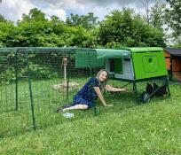 Climbing inside by chicken coop!