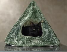 Black cat inside Freestyle Cat Tipi hideout in botanical Secret Garden print.