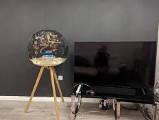 Cream Geo Bird Cage with black mesh on wooden stand next to TV in living room.