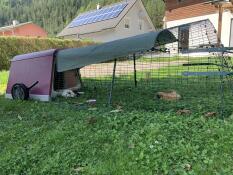 An eglu go rabbit hutch with a cover on