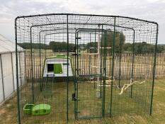 The large chicken walk in run with eglu cube chicken coop inside