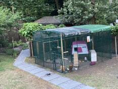 A purple Eglu Cube chicken coop set up inside a walk in run.