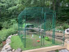 A chicken coop connected to a larger walk-in run