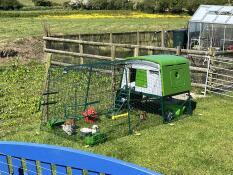 The green Eglu Cube chicken coop with 2m run set up in a garden.