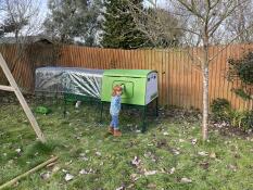 A child collecting eggs from the Eglu Cube chicken coop.