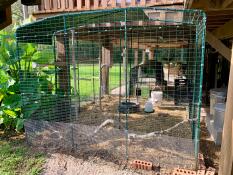 A large chicken walk in run set up in a garden.