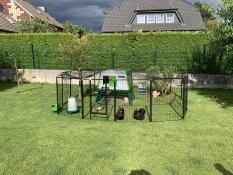 The green Eglu Cube set up with fencing in a large garden.