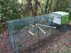 The green Eglu Cube with 4m run set up with the chicken swing and perches.