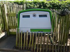 Back view of green Eglu Cube chicken coop surrounded by wooden fencing.