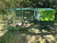 Large Eglu Cube Chicken Coops And Runs | Easy To Clean Safe Hen House ...