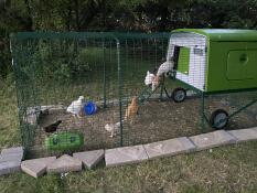 Large Eglu Cube Chicken Coops and Runs | Easy to Clean Safe Hen House ...