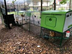 Omlet Green Eglu Cube Large Chicken Coop and Run