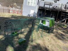 The green Eglu Cube Large Chicken Coop with 9ft Run set up in a backyard.