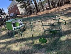 The green Eglu Cube Chicken Coop with 9ft Run set up in a backyard.