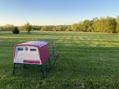 cube chicken coop in a large garden