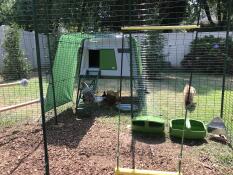 Photo taken from the inside of a large walk-in run, showing the space provided and the entry of a coop