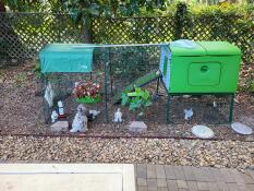 A green chicken coop and run with small chickens