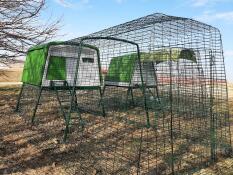 A green Eglu Cube coop set up next to a green Eglu Go Up chicken coop.