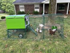 An Eglu Cube with 3m run set up in a garden.