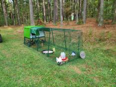 A coop with a 3 meter run at the edge of a forest