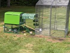 An Eglu Cube chicken coop attached to a larger run.