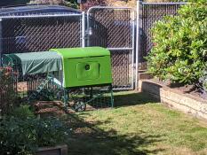 Omlet Green Eglu Cube Large Chicken Coop and Run