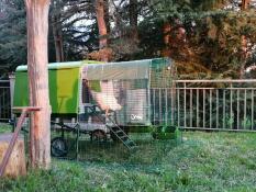 green large cube chicken coop with a chicken run