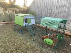 An Eglu Cube chicken coop with 3m run.