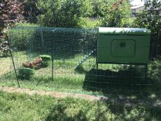 large green chicken coop with a run in a garden with chickens inside