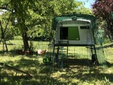 a large green cube chicken coop with a run attached