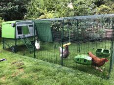 An Omlet chicken coop with a long run extension.