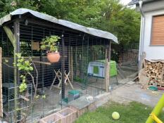 cube chicken coop in a garden with an attached run